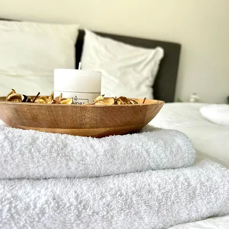 Comfy Apartment Mit Garten In Koeln Zewnętrze zdjęcie